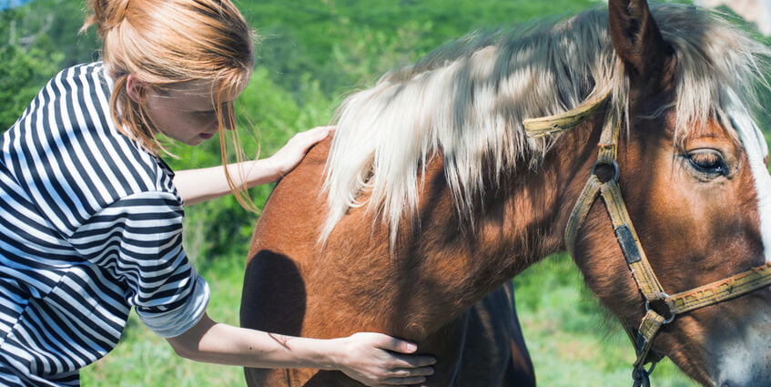 Equine Assisted Therapy for Troubled Girls